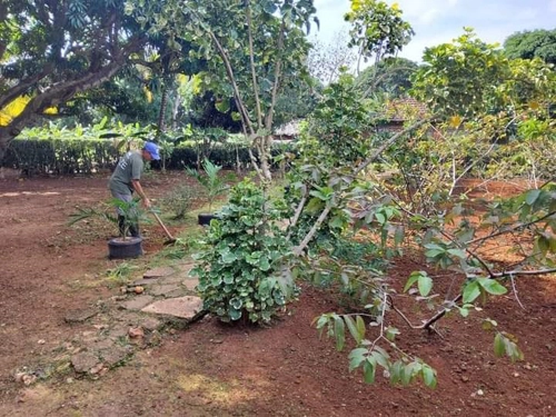 El Frutal farm, an agroecological destination in Banes 0