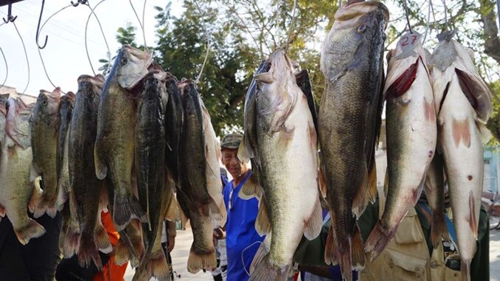 Trout, fishing, holguin, granma