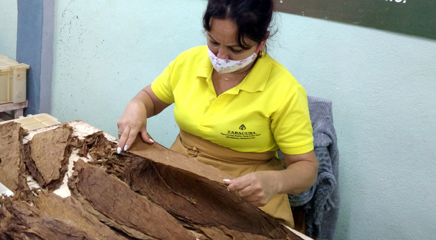 women, cigar, manufacturing, tobacco, holguin