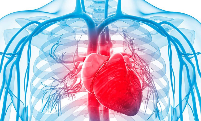 cardiovascular,m diseases