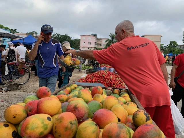 mango, fair, holguin