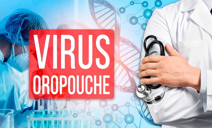 oropouche, virus, cuba
