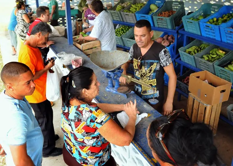 agriculture, livestock, fair, holguin