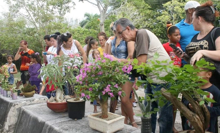 botanical, garden, holguin