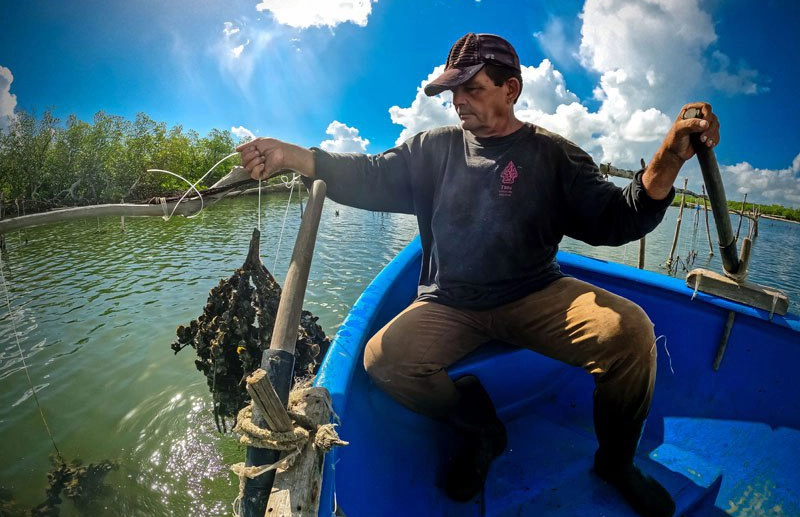 Fishing Company in Holguin Recovers Production Levels 0