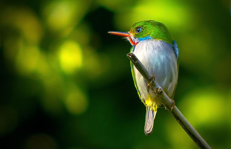 A Sustainable Approach to Nature Preservation in Holguin 1