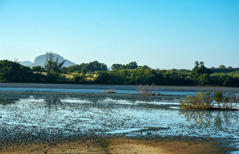 A Sustainable Approach to Nature Preservation in Holguin 2