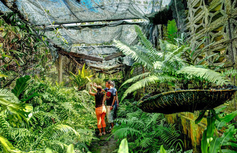 A Sustainable Approach to Nature Preservation in Holguin 5