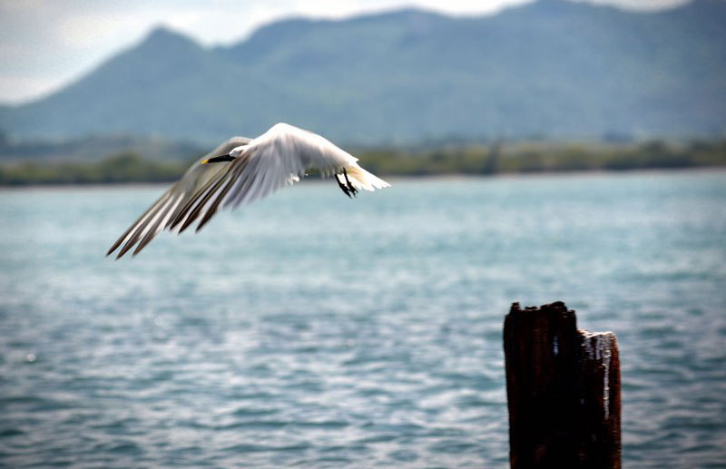 A Sustainable Approach to Nature Preservation in Holguin 6