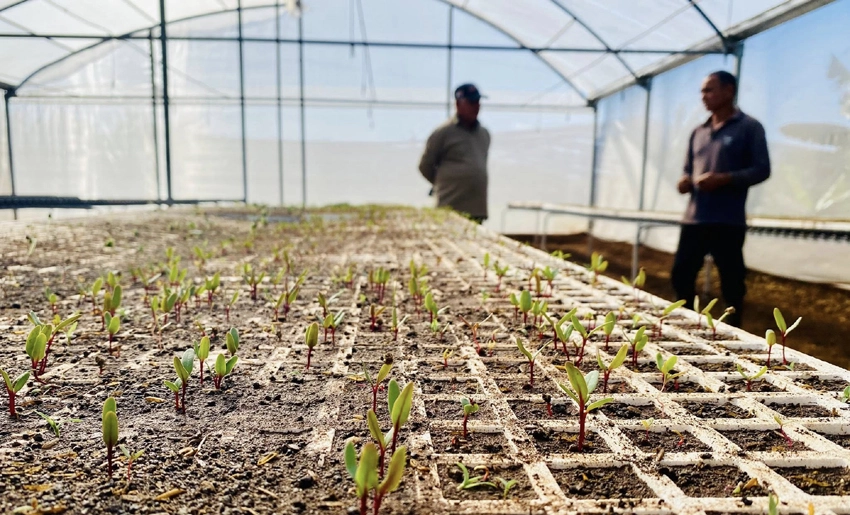 Agroecological farm in Holguin boosts food production 0