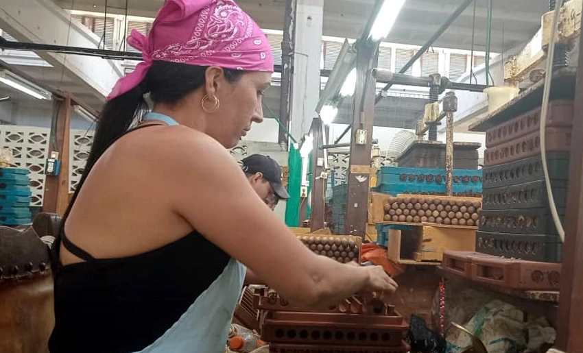 Jesús Feliú Leyva Tobacco Factory on its 49th Anniversary 0