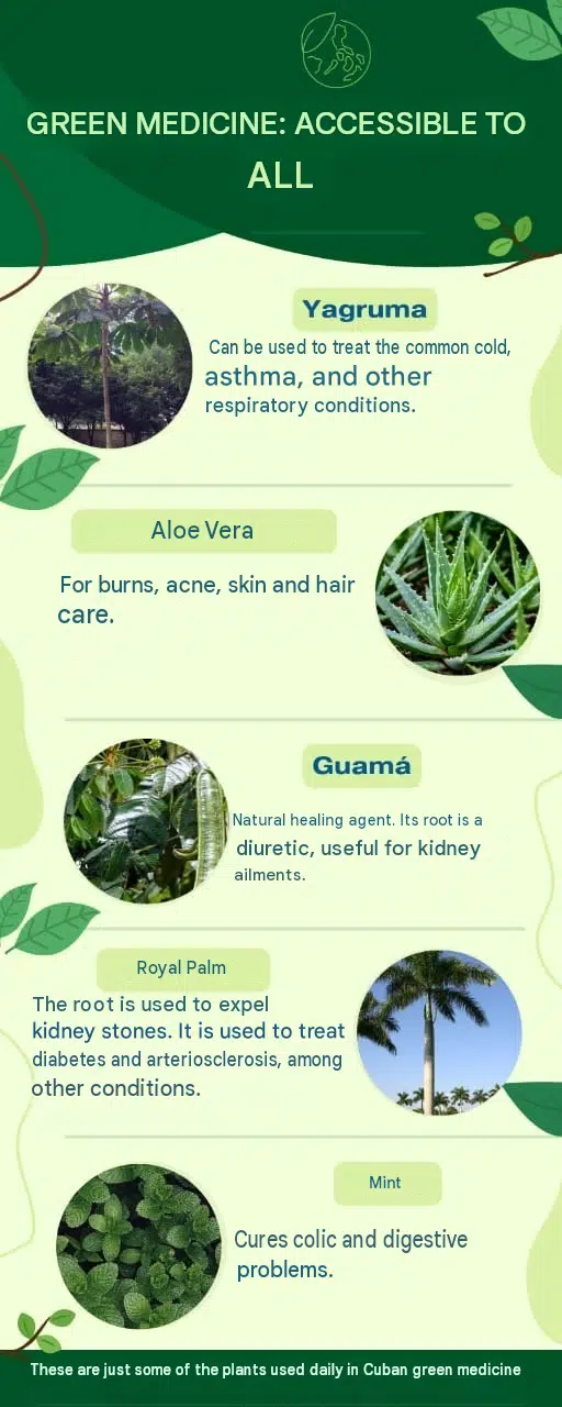Natural medicine: a tradition that can also help in difficult times 0