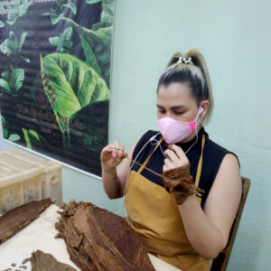 Holguín, Cuba, tabaco, exportación, agricultura, economía, fuerza laboral femenina