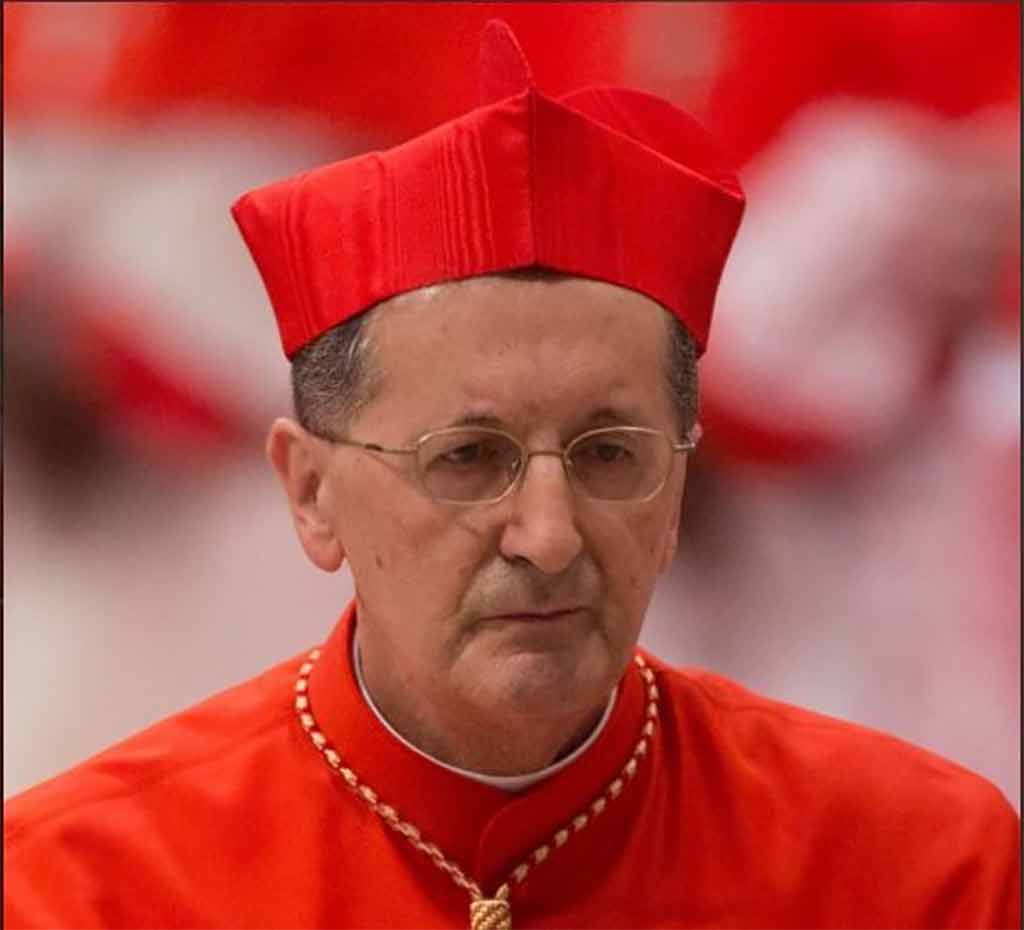 Cardenal Beniamino Stella, Vaticano, religión, católica