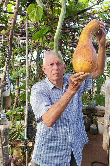 Julian Velázquez, agricultor, alturas, Holguín