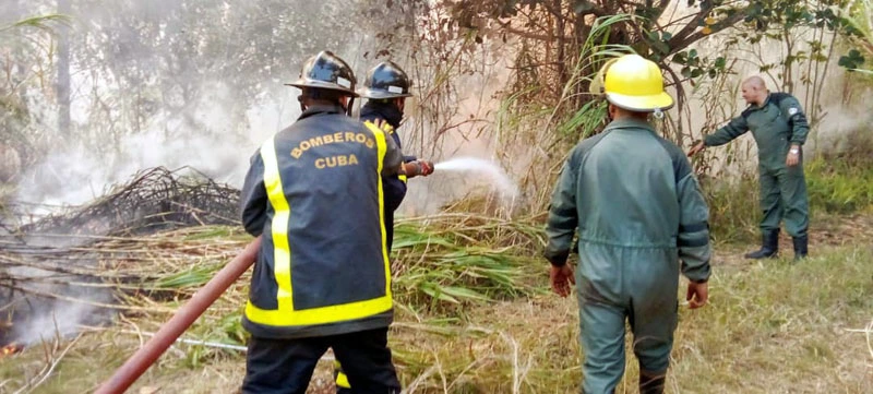 averías en las líneas de 220 kV, incendio, forestal, Mayarí, Holguín