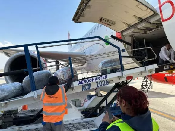 Aerolínea Airbús, México, carga