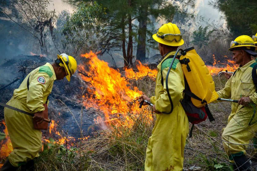 El presidente de la República, Miguel Díaz-Canel, reconoció este lunes las labores de enfrentamiento al incendio de grandes proporciones, incendio forestal, Mayarí,, propagación
