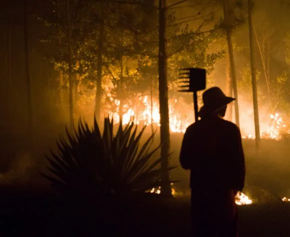 Fuerzas de Cueto, incendio forestal, Mayarí, Cueto, Holguín