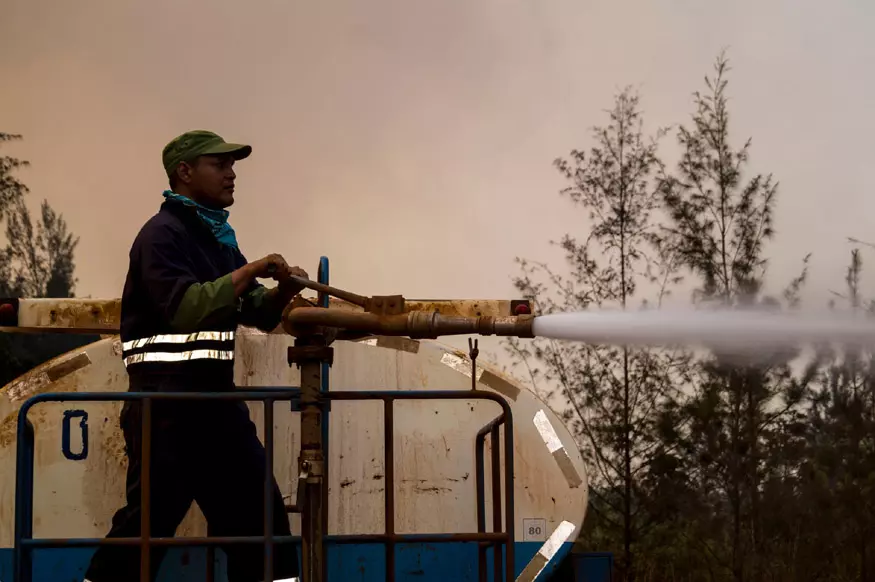 Incendio forestal, Pinares de Mayarí