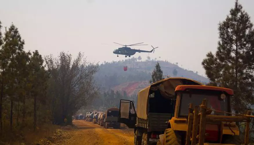 Incendio forestal, Pinares de Mayarí, Holguín, Cuba