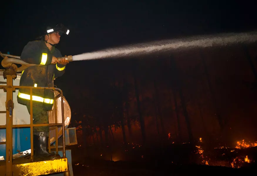 Incendio forestal, Pinares de Mayarí