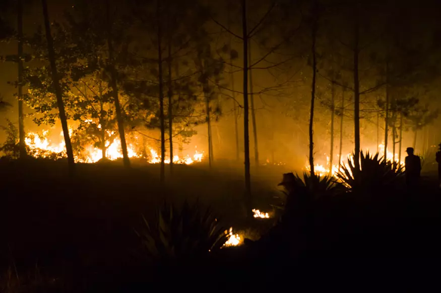Día decisivo, Incendio forestal, Pinares de Mayarí