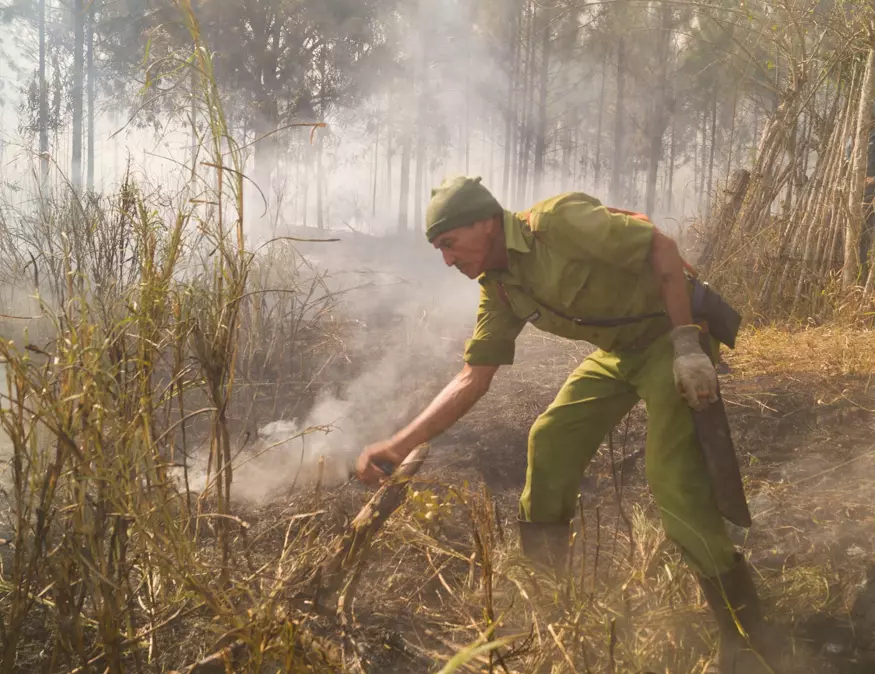 Incendio forestal, Pinares de Mayarí