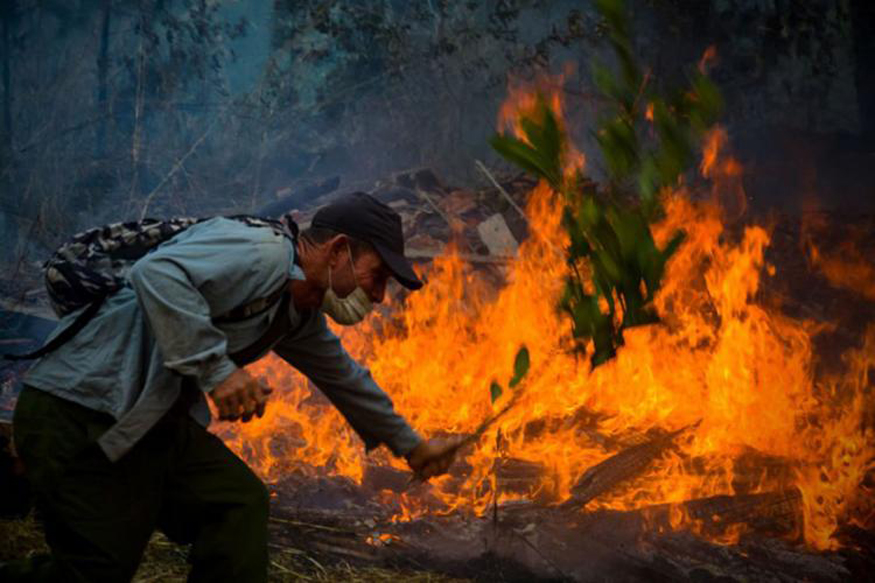 Incendio forestal, Pinares de Mayarí