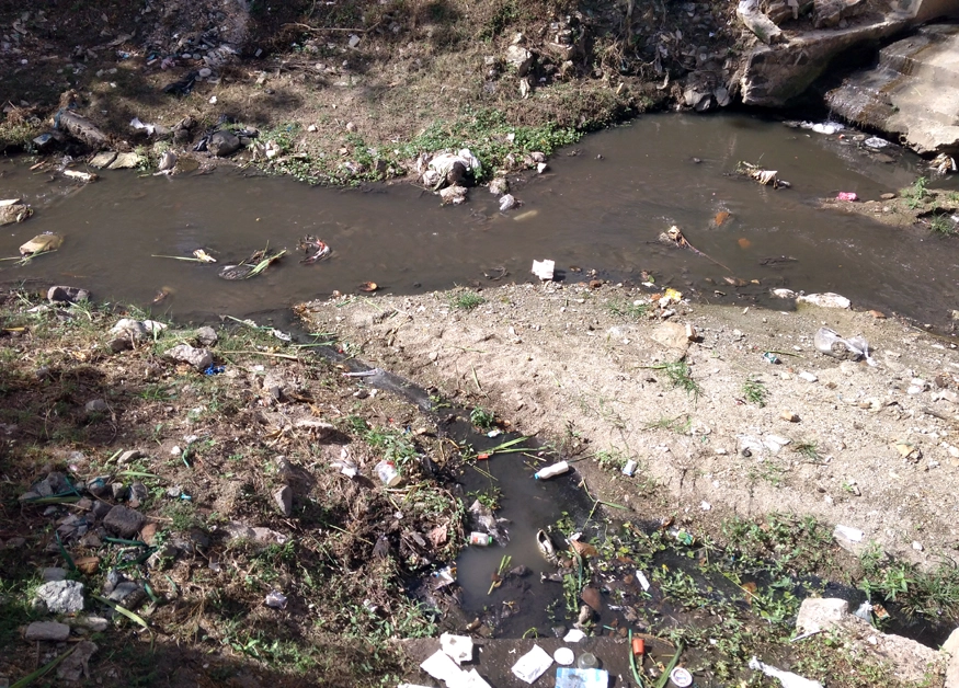 Holguín, Contaminación, Basura, Medio Ambiente, Sociedad