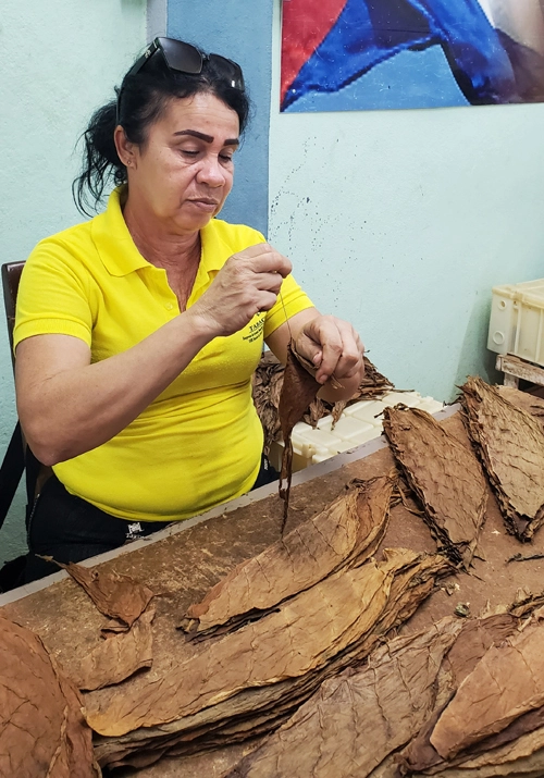 Tabaco, Holguín, Producción de Habanos, Rubro exportable, economía
