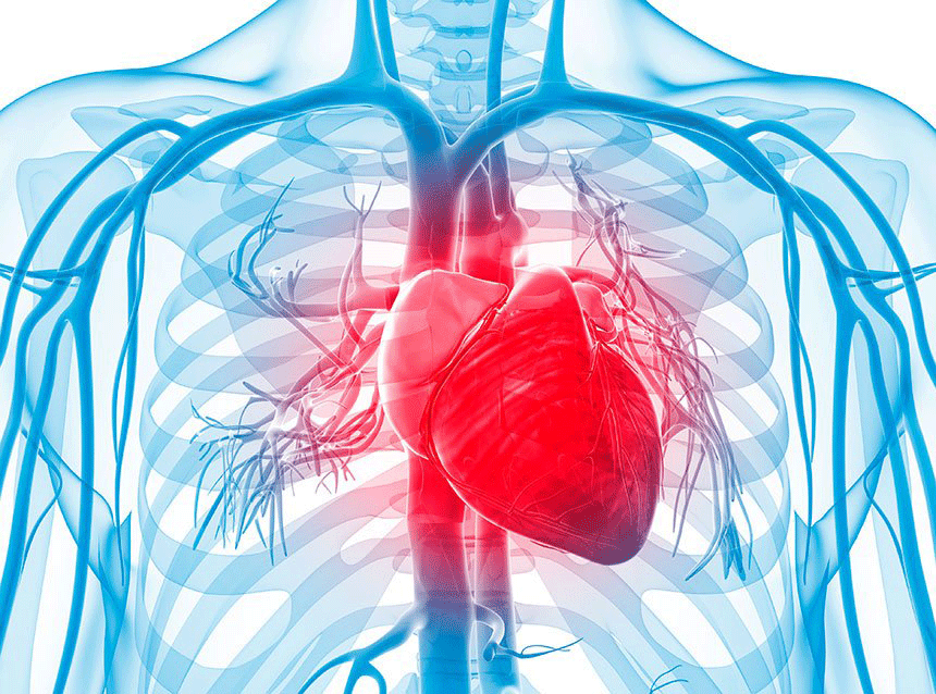 contaminación por ozono, ictus, insuficiencia cardiaca, infarto de miocardio, salud, problemas cardiovasculares, Holguín, salud