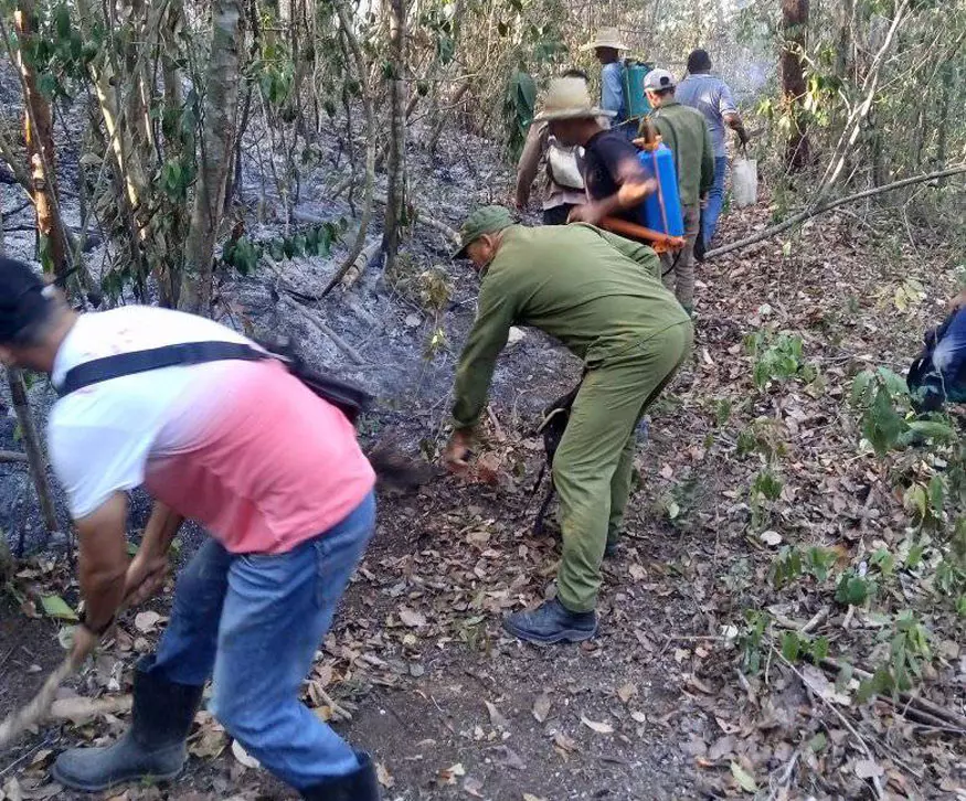 Incendio forestal, Pinares de Mayarí, Cueto, Holguín