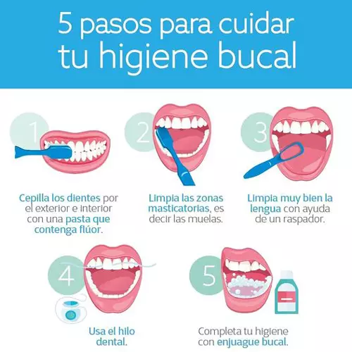 Estomatologia, Salud dental