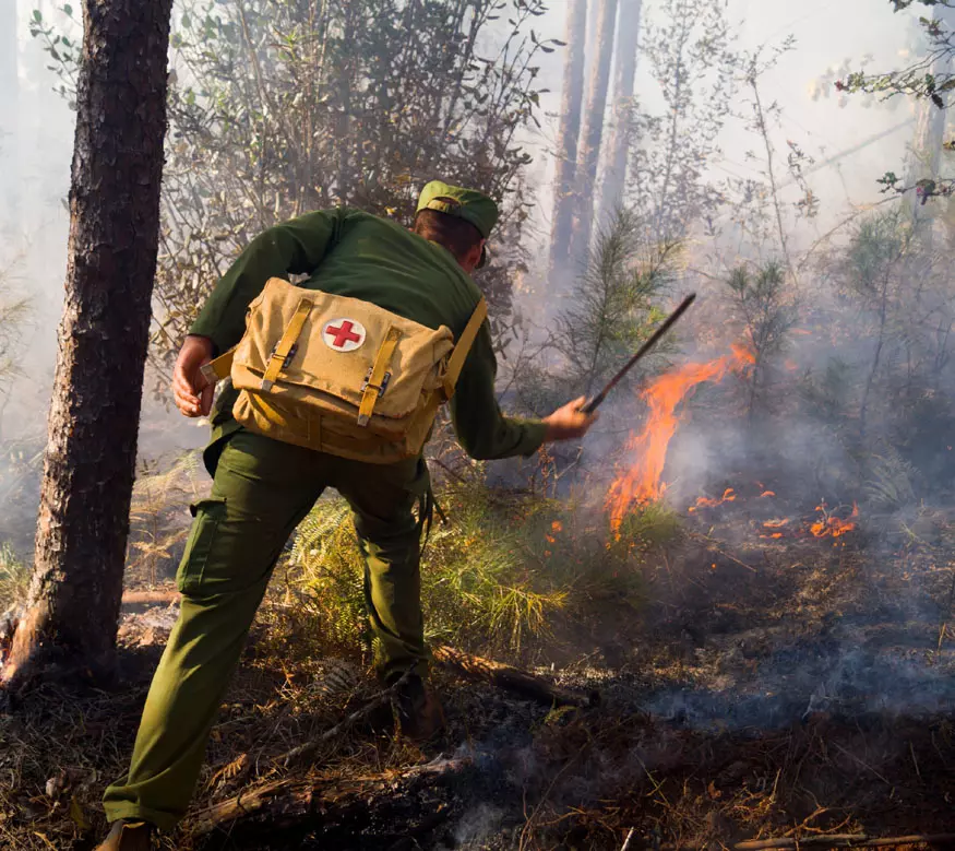 Incendio forestal, Pinares de Mayarí