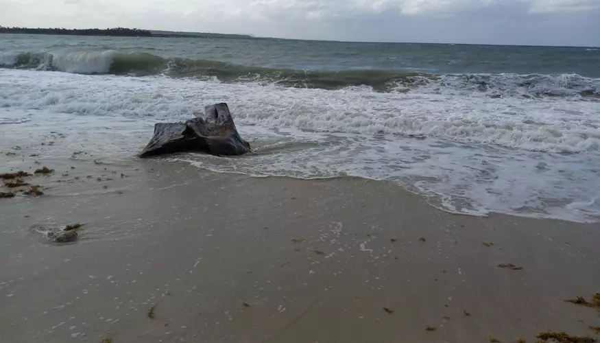 Catálogo, Playa Blanca, Holguín, Cuba