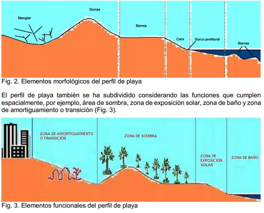 Playa, perfil morfológico