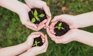 Tarea Vida, Holguín, Cambio Climático, Medio Ambiente