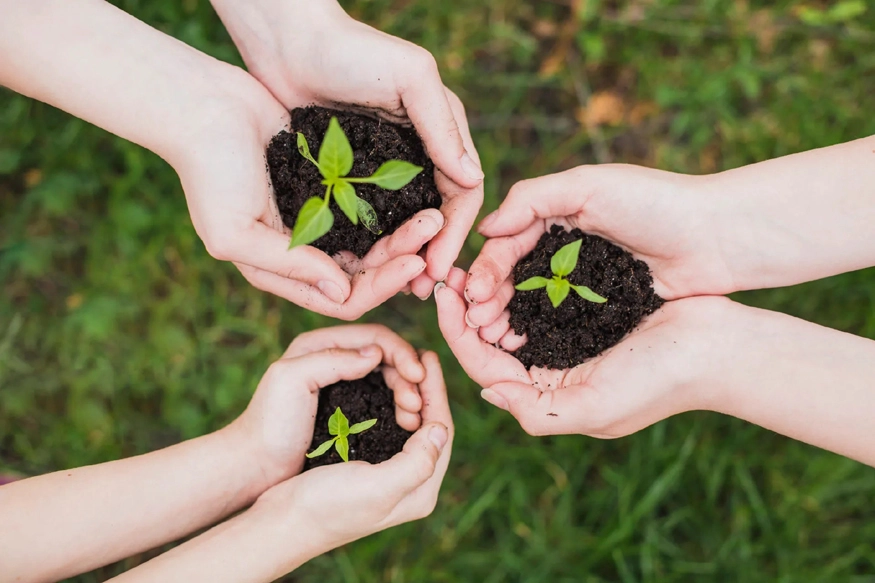 Tarea Vida, Holguín, Cambio Climático, Medio Ambiente