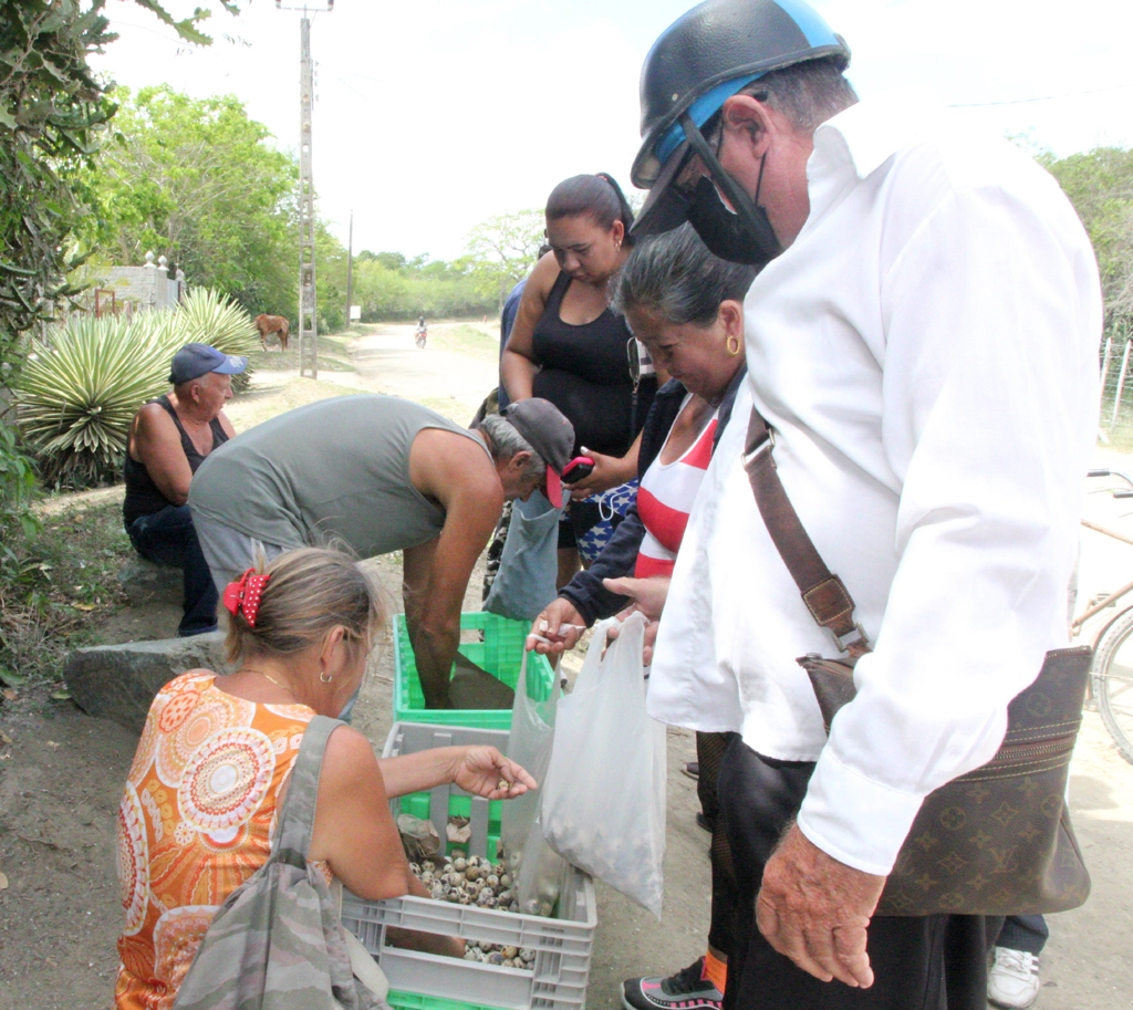 Barrio, Holguín, Cuba, Sao Arriba, diputado