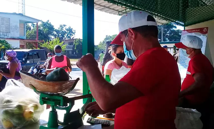 Coger lucha, mercado agropecuario, Cuba, Agricultura