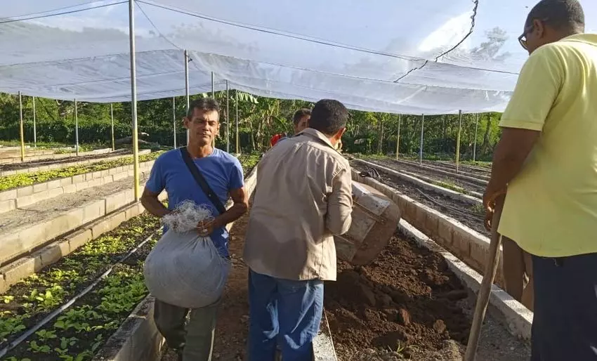 Holguín, transportistas, trabajo voluntario