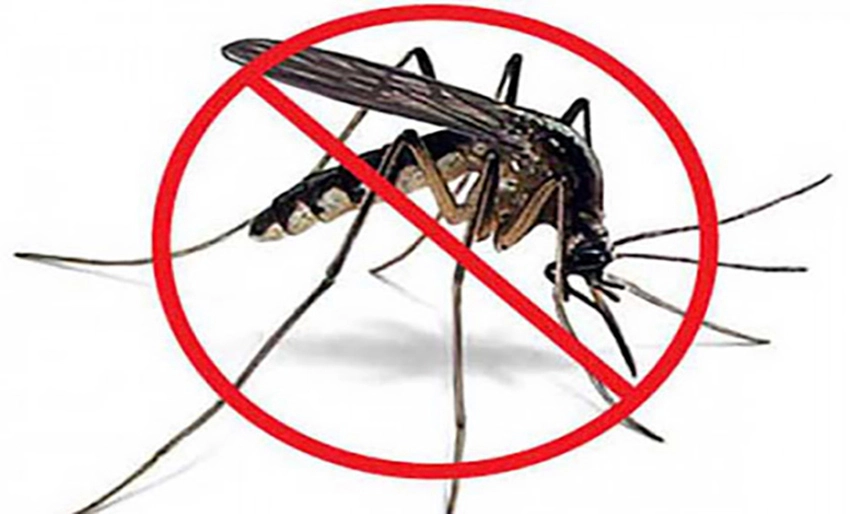 Holguín, Aedes aegypti, salud, arbovirosis, dengue, Higiene y Epidemiología