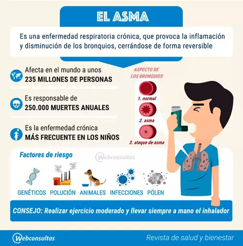 Por un diagnóstico y tratamientos adecuados del Asma 0