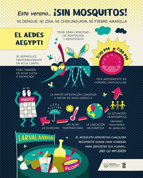  Holguín, Aedes aegypti, salud, arbovirosis, dengue, Higiene y Epidemiología 