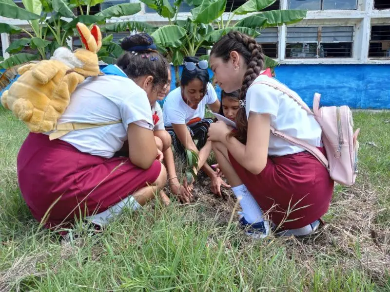 Estudiantes celebran Día Mundial del medio ambiente en Holguín (+Video) 0