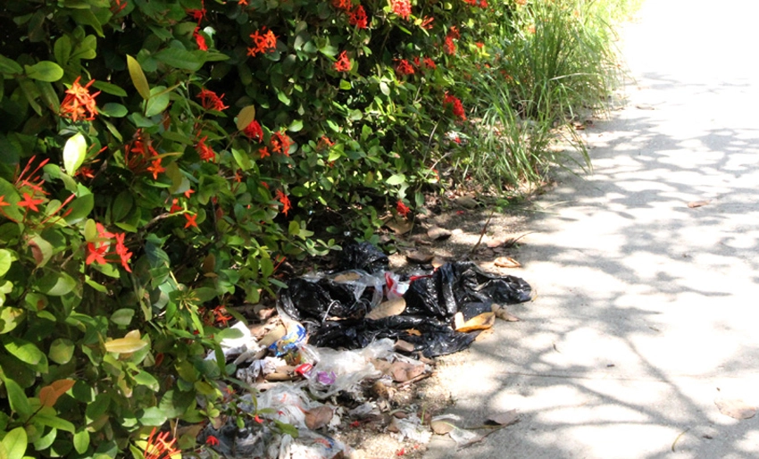 Basura en la calle