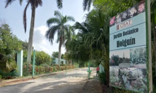 Jardín Botánico de Holguín