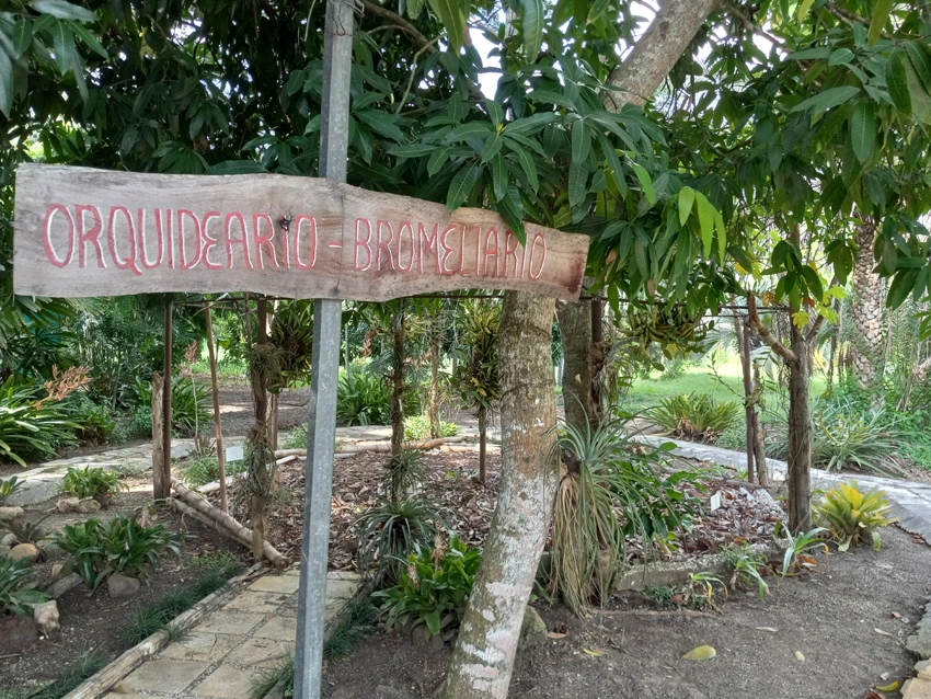 Orquídeas, Jardín Botánico de Holguín