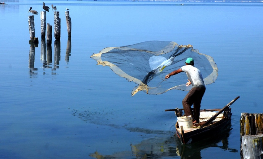 Pescador cubano